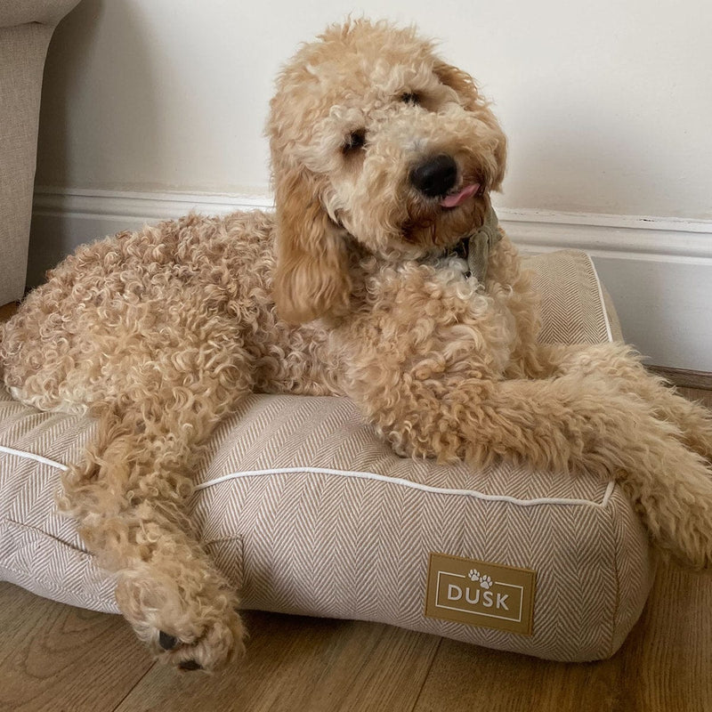 Dog Beds & Pet Accessories