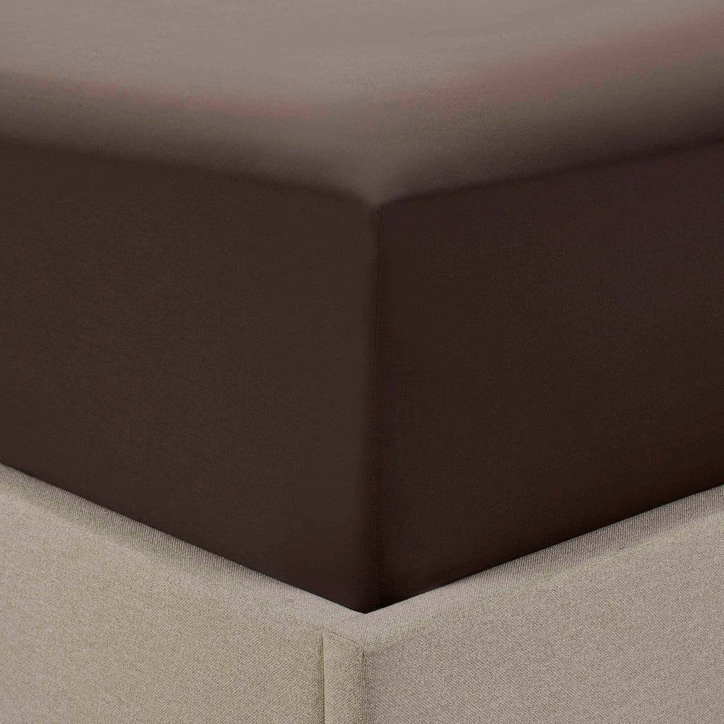 200 Thread Count Plain - Dye Fitted Sheet - Chocolate - DUSK
