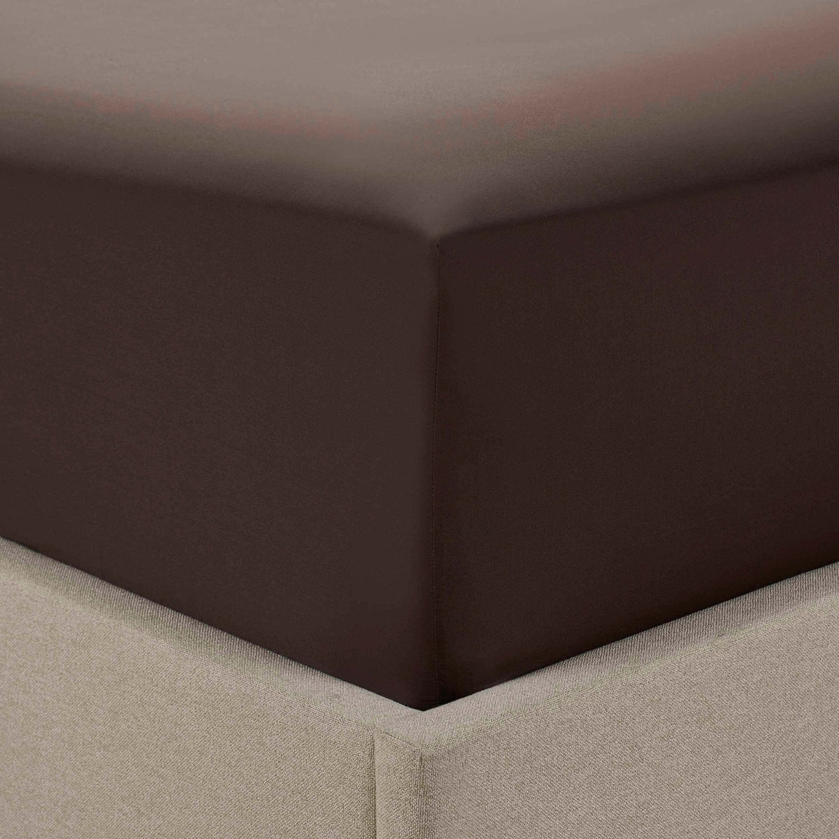 200 Thread Count Plain - Dye Fitted Sheet - Chocolate - DUSK