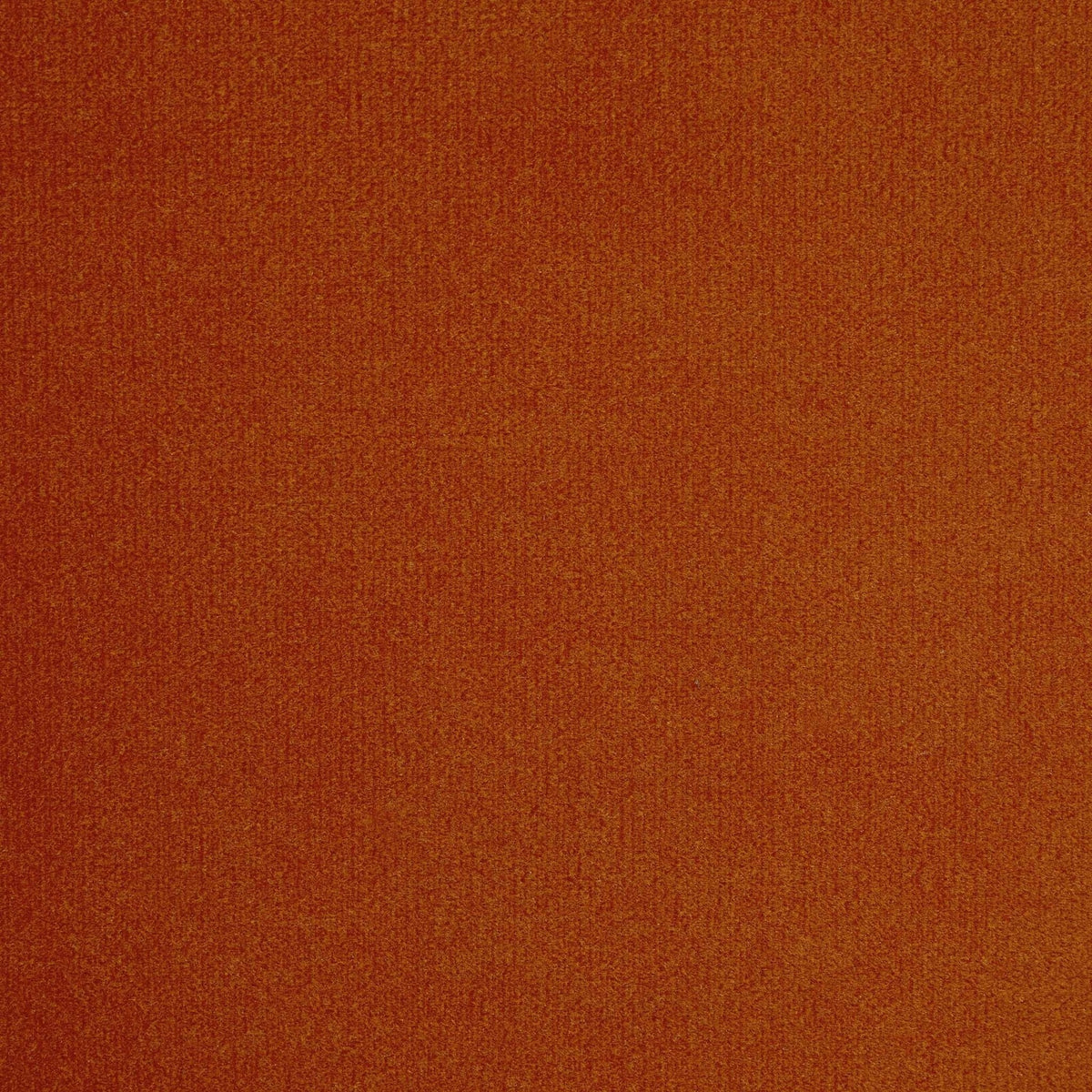 Amsterdam Bed Frame - Bright Orange - DUSK