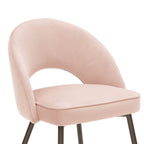 Lola Set of 2 Dining Chairs - Blush - DUSK