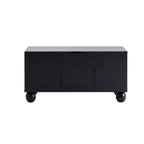 Rachel Arch Front Seated Storage - Black - DUSK