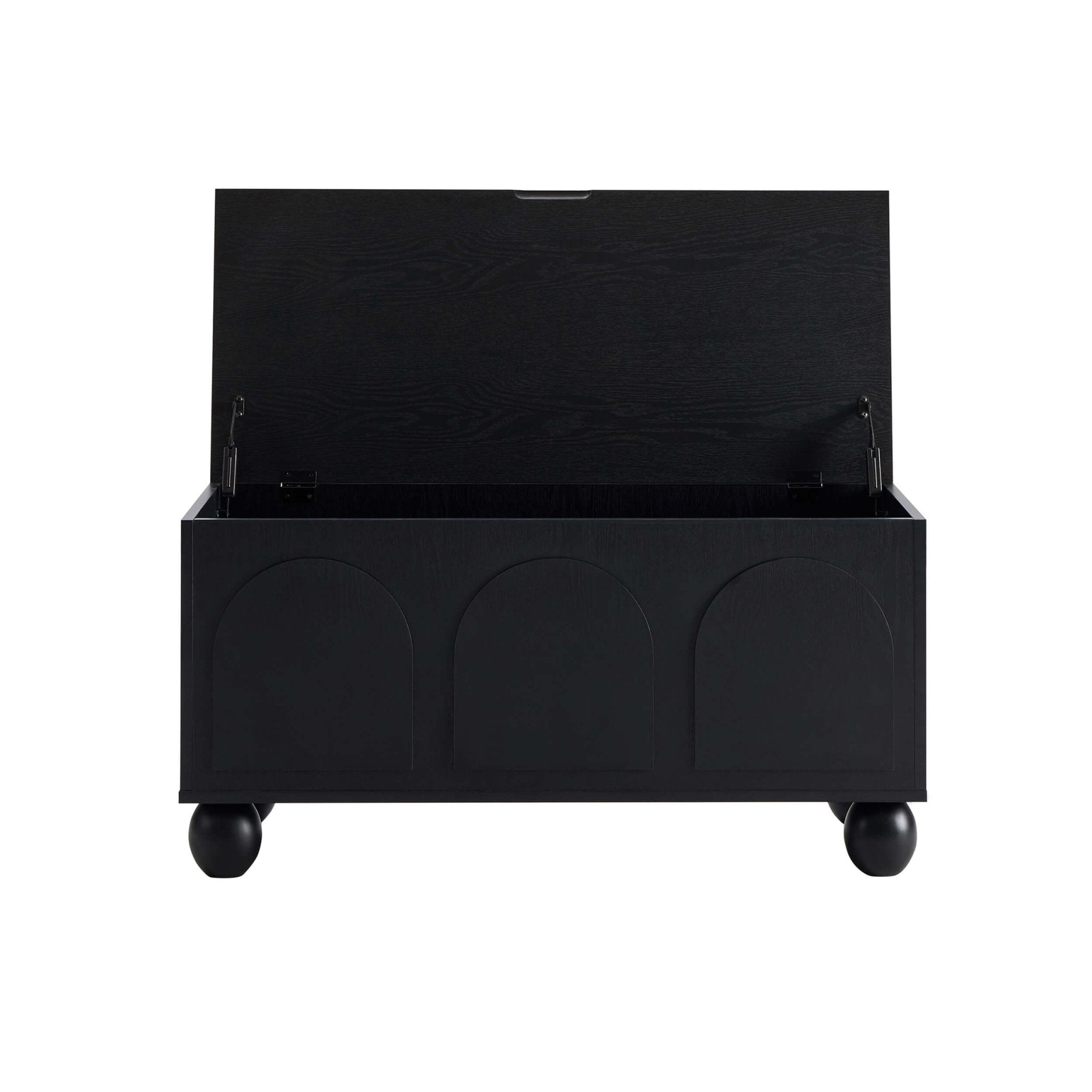 Rachel Arch Front Seated Storage - Black - DUSK