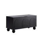 Rachel Arch Front Seated Storage - Black - DUSK