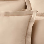 Regent Embroidered 100% Cotton Pair of Oxford Square Pillowcases - Champagne - DUSK