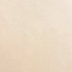 Regent Embroidered 100% Cotton Pair of Oxford Square Pillowcases - Champagne - DUSK